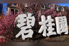 碧桂园：今年前3个月销售额77.7亿元，做好有效销售为保交房提供财务支持图片