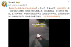 每个生命都值得温柔以待！消防员心肺复苏救活落水狗狗图片