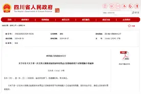 补贴更高！加力支持“更新换新”，四川发文→图片