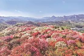 从“花山”到“金山”图片