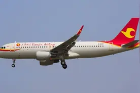 回家过年 想和宠物上飞机？天津出港旅客可预约“宠物进客舱”服务图片