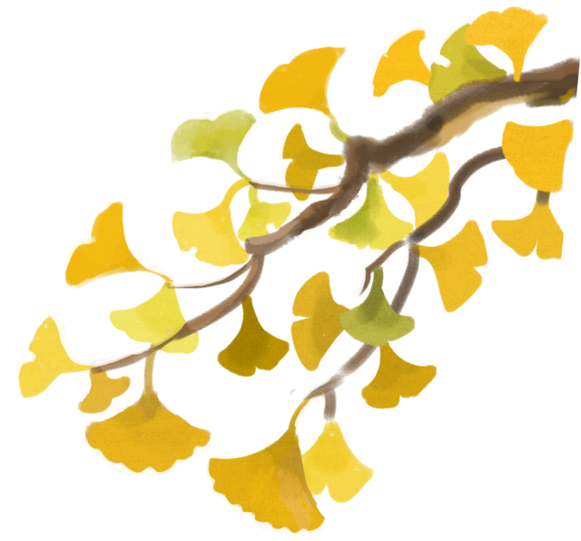 碉楼秋韵，揽胜塘口！快来开平这里把整个秋天“揽"入怀中