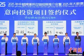 2025年中越跨境供应链招商推介会在广西大新县举办图片