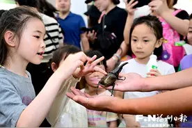 福州动物园昆虫馆开放 展示世界各地上千种昆虫标本图片