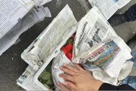 网友质疑草莓下垫菜叶为“压秤”，记者走访：系行业普遍做法，起保鲜作用图片