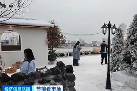 氛围感拉满！“人造雪景”爆火，小型商用造雪机热销图片