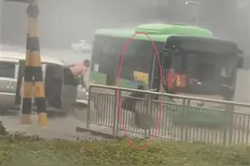 渭南公交女司机“暴雨救人被冲走”:3次抱树被同事救起图片