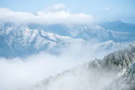 玉树琼花！来敕木山邂逅一场“雾凇海”图片