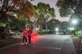 上海市民报警：半夜有人高歌，凌晨4点还有吹萨克斯的！公园24小时开放后，投诉增多图片