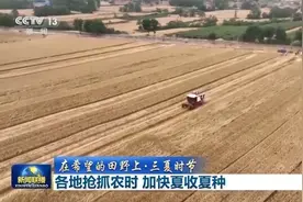 在希望的田野上丨夏收夏种进行时 农机助力忙丰收图片