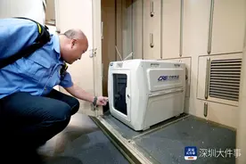 暑期来临宠物也要出行，深圳北站宠物托运受热捧图片