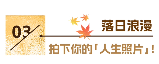 东湖冬日必打卡！观「雪」景、赏秋色、追落日！