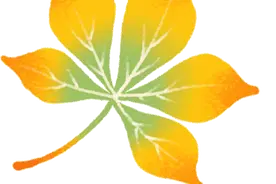 【科学普及】何以雌雄——从“双性基因”谈起图片