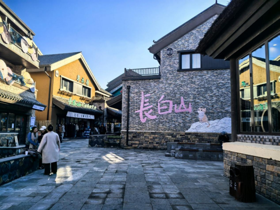 最美铁路・沈白高铁｜高山仰止，心向往之