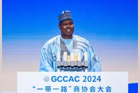 尼日利亚驻华使馆临时代办：积极推动在共建“一带一路”倡议下与中国开展合作图片