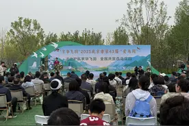 再添8种野生鸟类，北京鸟类数量已经达到527种图片