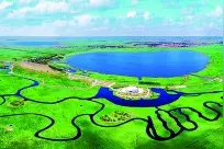 黑龙江扎龙国家级自然保护区：水清苇长 鹤舞飞扬图片