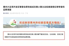 退休一个月后主动投案！黄小慧接受审查调查图片