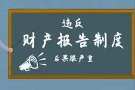 报告财产令——这几个点你必须知道图片