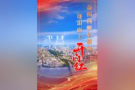 “零号员工”护航 速卖通华中地区首个跨境电商产业园项目落地武昌增势强劲图片
