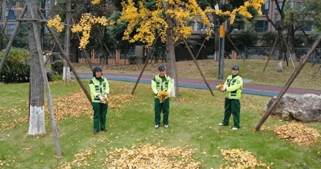 落叶缓扫，诗意长留！彭州的秋天被“绣”在了大地上