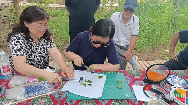 一方水土丨沙海藏着植物大观园