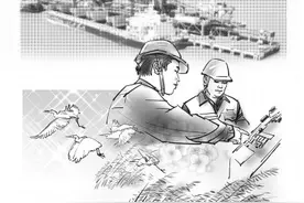 蓝色海湾里的绿色煤港图片