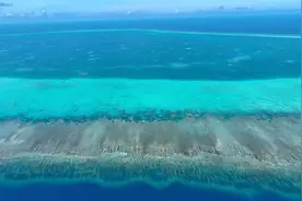 首次实证：黄岩岛及周边海域海水、沉积物和鱼类体内均未检出氰化物图片