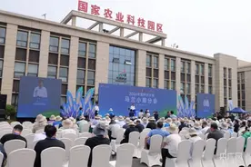农业强“芯”！2024中国种子大会马兰小麦分会在河北辛集举行图片