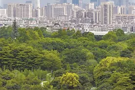 广州已进入蛇伤高发季节，11家蛇伤救治定点医院汇总图片