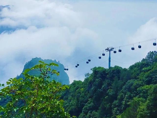 致敬园丁！神农山对教师免门票免索道，错过等一年！