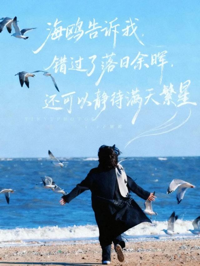 治愈天花板！来蓬莱赴一场冬日“鸥遇”