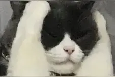 女子要求邻居晚十点后不准用马桶，邻居无奈搬家……图片