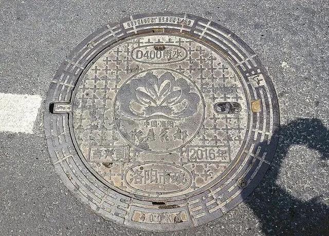 起猛了，我在洛阳被「牡丹」包围了！