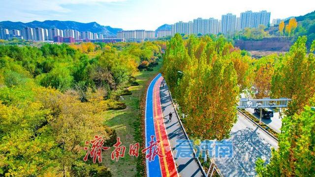 一年四季 泉在济南丨兴仲路林荫绿道初冬绘彩卷