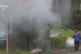 从集中消杀到生物防治 广东全民总动员开启大灭蚊！图片