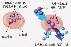 男孩点4盘蚊香睡觉中毒！正确防蚊这样做→图片