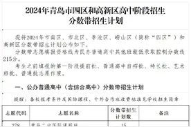 2024年青岛市四区和高新区高中阶段招生分数带招生计划图片
