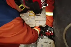 果然视频|小猫喝水不慎头卡下水道，消防员迅速到场施救图片