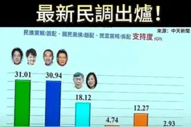 只差0.07%，“2024”回归蓝绿对决？图片