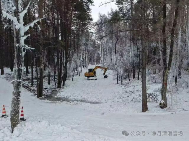 净月潭新地标冲刺收尾！1677米“森林穿越雪飘流”即将开滑！