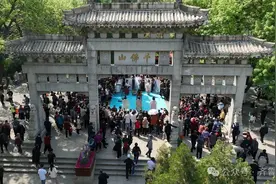 免费！半价！山东数十家景区官宣图片