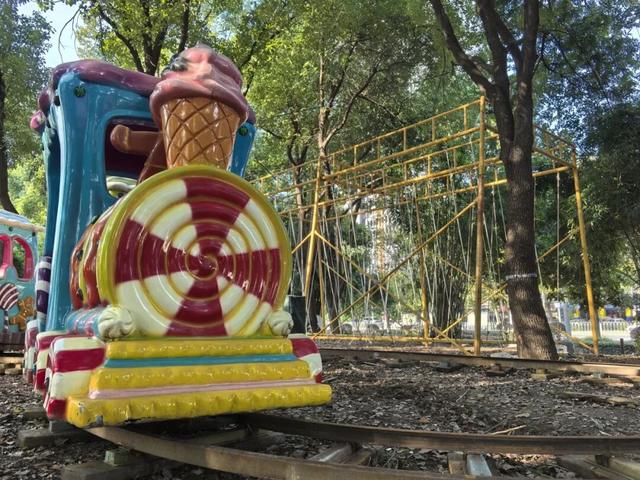 硚口藏了个“森林游乐场”？一站玩到嗨！