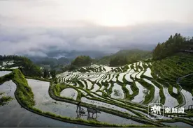 品云和国风春日，感受穿越千年的东方美图片