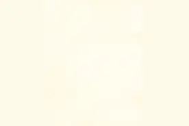 申城桂花开啦，这张赏桂地图请收好→图片