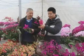 新春走基层 | 育种“父子兵”共筑农业梦图片