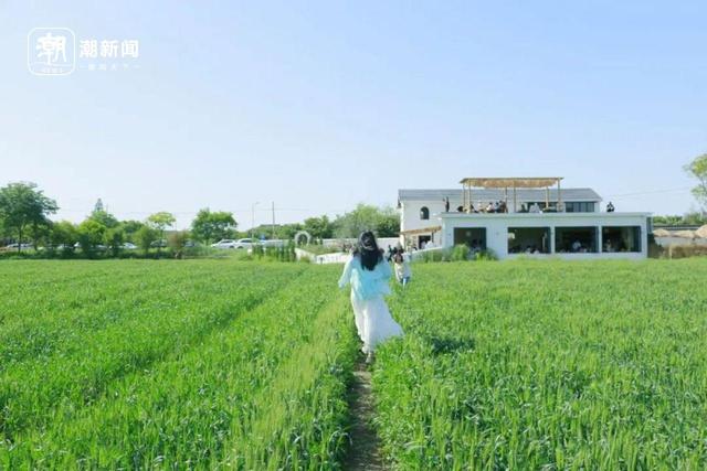 杭州私藏“绿色取景框”合集，六和塔之外还有这些神仙窗景
