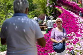 新民快评丨“中国游”“中国购”为何火热图片