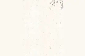 【匠心检韵】巾帼风采②|刘莉：平凡亦是美图片