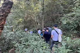 新发现！明朝思想家教育家黄佐家族墓群就在白云山栖霞岭图片